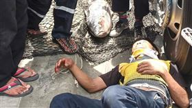 貨車司機頭部被鮪魚擊出一道5公分長的傷口，但幸好人還保持清醒。