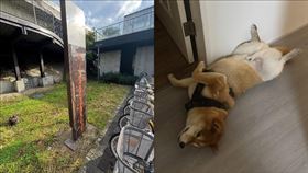 ▲台中綠空鐵道暗藏工安危機，一位民眾遛狗愛犬遭漏電的告示牌電傷。（圖／翻攝自Thread @likaojerry）