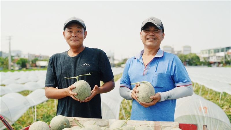 嘉義涼夏吃瓜季　超商獨賣「水果餐盒」