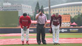 ▲天母棒球場龍猿戰因雨延賽。（圖／中華職棒提供） 