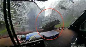 橫山,落石,60-1鄉道,擋風玻璃（圖／Doline Nozoo授權提供）