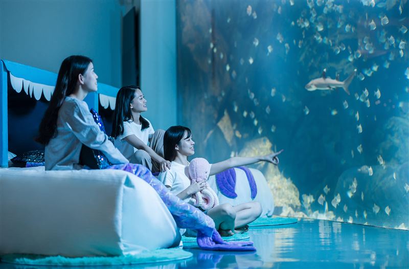 親子暢遊入住水族館體驗Blu Night夜探行程。(圖/飯店旅宿業者提供)