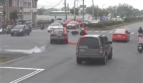 高雄,校長,噸位,家長,黑山豬,湖內區,明宗國小