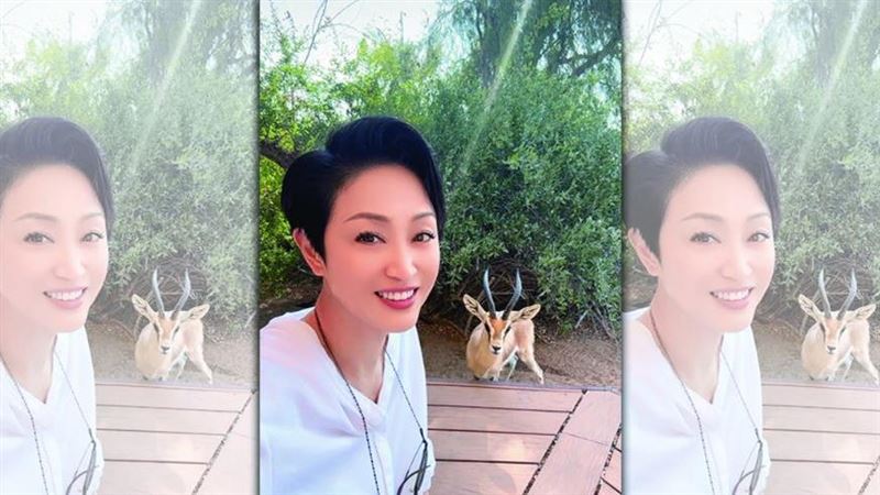女星交往油王積蓄全給他　2.8億慘被騙光