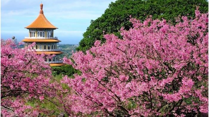 「秘境魔幻路」快來拍最夯「網美照」！