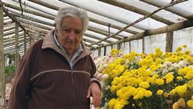 ▲何塞·穆西卡（Jose Mujica）（圖／翻攝自José Pepe Mujica臉書）