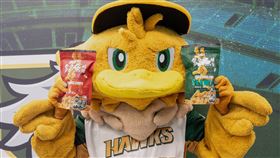 台鋼雄鷹,魚饌食,在地,零嘴