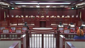 大法官稱須遵守憲訴法　綠委：倒果為因