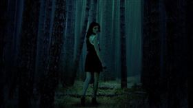 鬼月,陰森,樹林,森林,山路（圖／翻攝自pixabay）