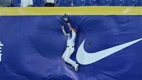 ▲申皓瑋牆前上演美技守備。（圖／富邦悍將提供） 