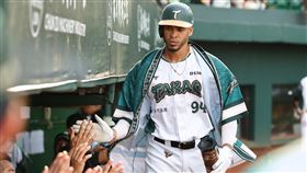 ▲魔鷹揮出個人本季第10轟。（圖／台鋼雄鷹提供） 