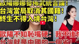 網路上出現「歐陽娜娜發表武統言論，備台灣當局取消國籍」的假影片。（圖／翻攝自YouTube）