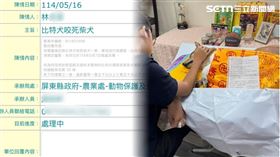 被無辜咬死的柴犬飼主每週都寫信關心進度，4封只回了2封。（圖／民眾提供）