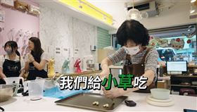 ▲陳佩琪做餅乾。（圖／翻攝自柯文哲YT）