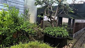 ▲1名工人陳屍在新光三越A8館4樓戶外區。（圖／翻攝畫面）