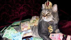 ▲台灣30歲以下投資人突破百萬，僅5.1%從事當沖交易。定期定額成為年輕人主流策略，熱門標的包含ETF與台積電。74.84%年輕投資人採用零股交易，重視風險分散與彈性。周冠男表示，年輕人應專注提升本業與收入，穩健建立資產。（示意圖／PIXABAY）