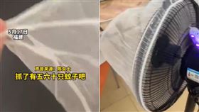 黑科技？農村女自製「低成本捕蚊神器」喊：抓了60隻（組合圖／翻攝自微博）