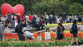 士林官邸鬱金香展  賞花人潮絡繹不絕（2）2025士林官邸鬱金香展展出超過13萬株30種來自荷蘭及日本的鬱金香，許多民眾16日趁著好天氣前往賞花，展區擠滿人潮。中央社記者裴禛攝  114年2月16日