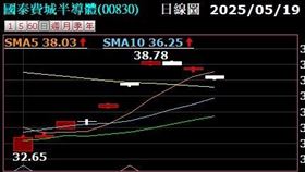 ▲00830 19日股價表現。（圖／翻攝自台新智多星） 