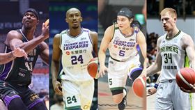 高錦瑋,克羅馬,威廉斯,高柏鎧,TPBL,