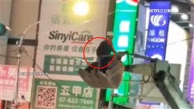 直擊工人站怪手斗撥電線　無防護搶修惹議