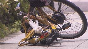 日版燒肉粽！老翁高空墜樓　腳踏車騎士路過遭砸「雙雙身亡」。老翁從高樓墜落，路過腳踏車騎士遭砸雙雙身亡，腳踏車也變形。（圖／鏡週刊／翻攝X@livedoornews）