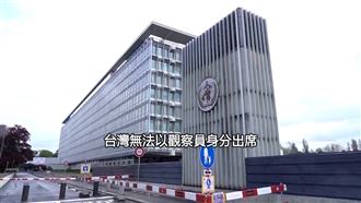 挺台參與WHA！8國在台代表處發聲明