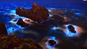 ▲馬祖藍眼淚（圖／東莒船老大民宿提供）