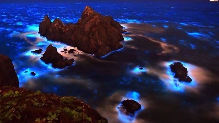 一睹世界奇景馬祖藍眼淚！「追淚」趁現在