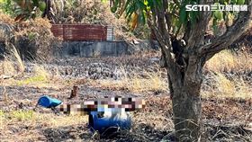 台南,雜草,焦屍,新營,殯儀館,雜草火警