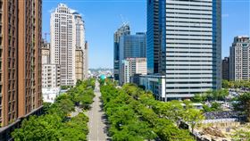 市政路延伸段打通三大科技園區！南屯「市政大道」蓄勢起飛