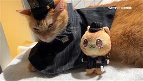 蜜柑站長萌翻日本　快閃店6月登日嵐電