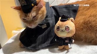 蜜柑站長萌翻日本　快閃店6月登日嵐電