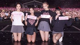 BLACKPINK,Jisoo,Jennie,Rosé,Lisa,DEADLINE,世界巡迴演唱會,韓國高陽體育場,日本東京巨蛋,高雄世運主場館（圖／BLACKPINK臉書）