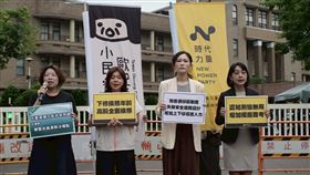 三峽嚴重車禍，時力、基進、綠黨、歐巴桑聯盟赴行政院呼籲交通改革（圖／時代力量提供） 