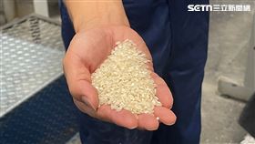 台灣小農米揚名國際，日本每月進口約400噸的台灣小農米（圖／記者蔣季容攝影）