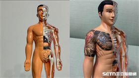 ▲人體解剖雕像。（圖／邱俊彥老師提供） 