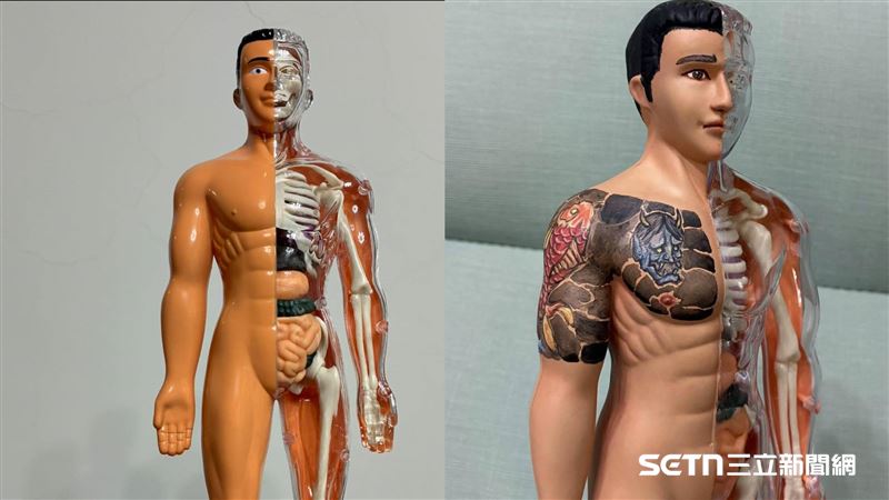 獨／他幫解剖學雕像刺青　近萬人：是大神