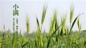 ▲（圖／翻攝自百度百科）