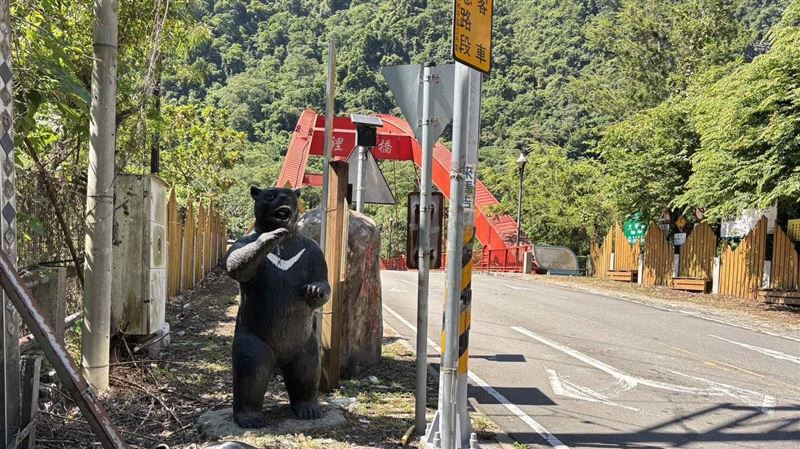 裡冷台灣小黑熊消失　60歲翁：喜歡帶回家