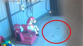  投幣機狂吐錢，銅板雨，麻雀夫妻築巢孵蛋，彰化，洗車場超暖心(圖／翻攝畫面)