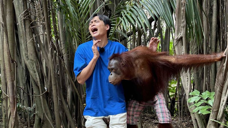 娶萁萁16年！黃鐙輝赴泰伸舌被摸極樂照曝