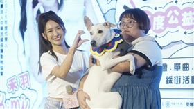 禾羽KIMI獻聲年度主題曲「尋寶」，柔美歌聲融化現場。（圖／翻攝畫面）