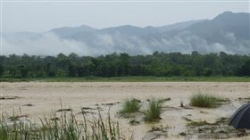 ▲下雨；恐龍（圖／翻攝自pixabay）