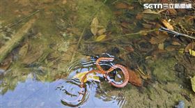 嘉義,梅嶺,蝙蝠洞,蛇,溺水,報恩,網友ryanmiaobaba授權提供