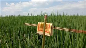 ▲土地公拐。（圖／翻攝自國家文化記憶庫）