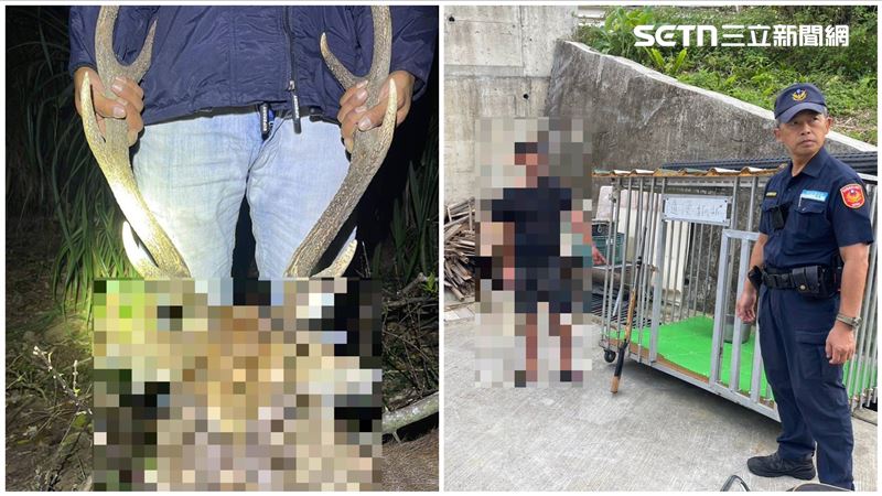 墾丁「梅花鹿殺手」落網　死、活全不放過