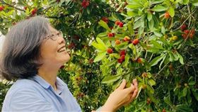 ▲蔡英文臉書發文。（圖／翻攝自蔡英文臉書）