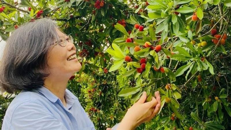 結束訪歐返台網勸多休息　蔡英文這樣說