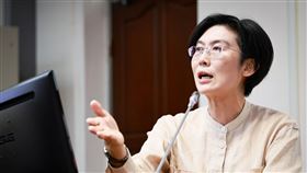 批總預算刪減爭議！林岱樺：國家發展不容兒戲